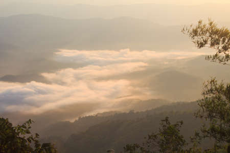 top view of foggy over mountain forest in the morningの写真素材