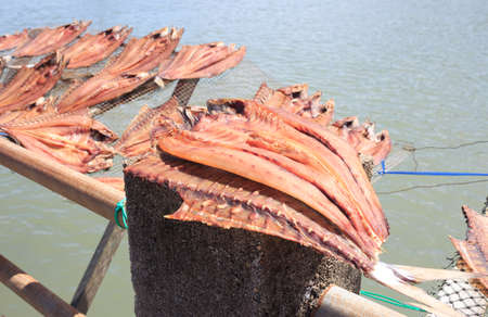 dried fish placed in a rack bamboo tray on sun day light with sea view, for sell dry fish in the...