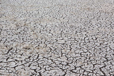 dry earth and cracked ground texture, broken split land with soil background