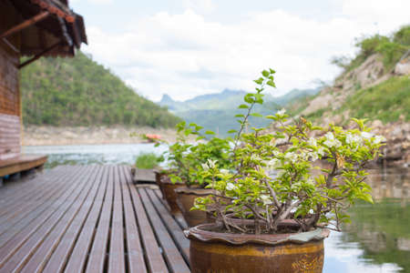 walk path with flower pot on floating house Rafting in river kwai, kanchanaburiの写真素材