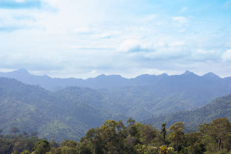 horizon beautiful green field forest mountain, vintage styleの写真素材