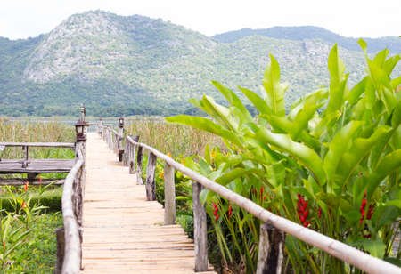 closeup bamboo way wooden bridgeの写真素材