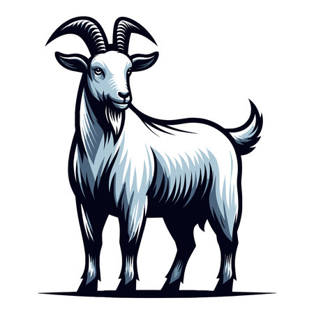 Goat full body vector illustration, farm pet, animal livestock, for butchery meat shop and dairy milk product, design template isolated on white backgroundのイラスト素材