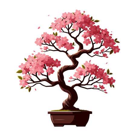 Sakura bonsai tree vector illustration. Aesthetic Japanese and Chinese traditional culture bonsai and potted plants design template isolated on white backgroundのイラスト素材