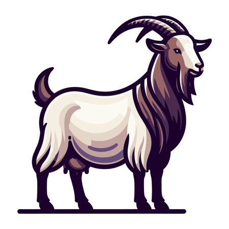 Goat full body vector illustration, farm pet, animal livestock, for butchery meat shop and dairy milk product, design template isolated on white backgroundのイラスト素材