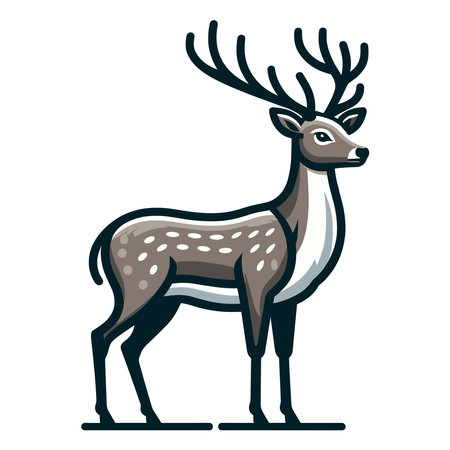 Deer full body vector illustration, wild mammal animal concept, standing reindeer with antlers illustration. Design template isolated on white backgroundのイラスト素材