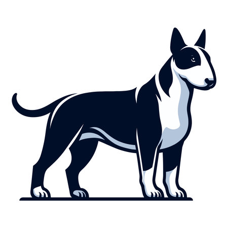Bull terrier dog full body vector illustration, cute adorable funny pet animal, standing purebred dog concept design template isolated on white backgroundのイラスト素材