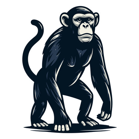 Monkey ape chimpanzee full body design illustration, standing monkey illustration concept, wild animal primate, vector template isolated on white backgroundのイラスト素材