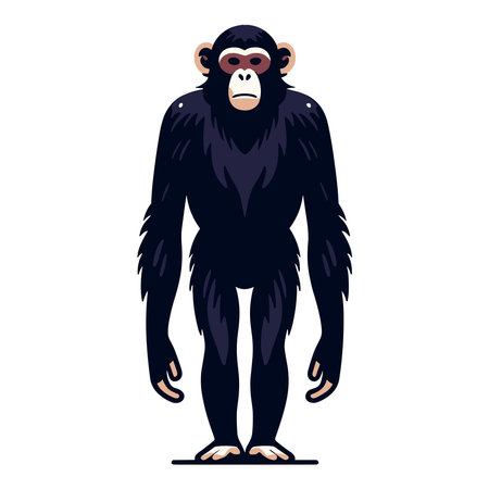 Monkey ape chimpanzee full body vector illustration, wild animal primate, standing monkey...