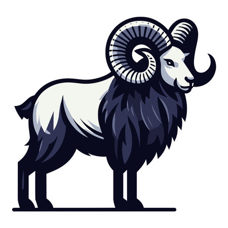 Bighorn horned ram sheep full body vector illustration, farm pet, animal livestock, butchery meat shop element, agriculture concept, design isolated on white backgroundのイラスト素材