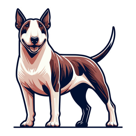 Bull terrier dog full body design illustration, standing purebred dog concept, cute adorable funny pet animal vector template isolated on white backgroundのイラスト素材