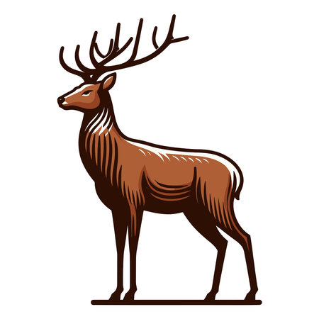 Deer full body design illustration, standing reindeer with antlers illustration, wild mammal animal concept. Vector template isolated on white backgroundのイラスト素材