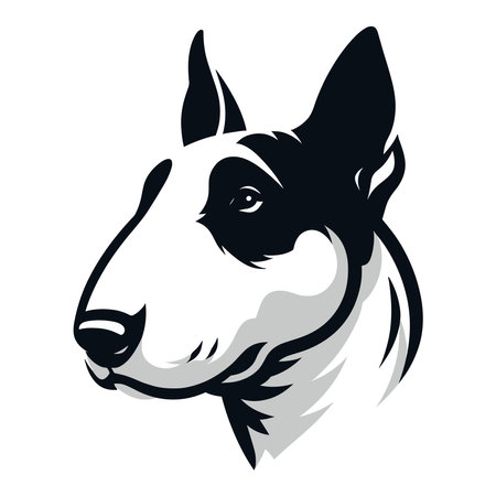 Bull terrier dog head face design illustration, cute adorable funny pet animal, dog head concept vector template isolated on white backgroundのイラスト素材