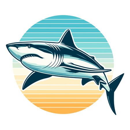 Wild great white shark design illustration, marine predator animal element illustration, swimming angry toothy shark vector template isolated on white backgroundのイラスト素材