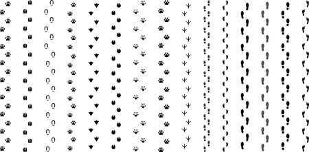 Human and animal footprints line setのイラスト素材