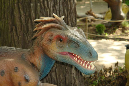 Dinosaur head on the sideの写真素材