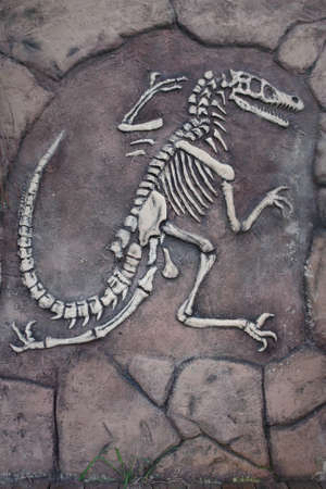 Dinosaur skeleton