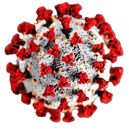 COVID 19 virus cell white background Coronavirus outbreak in 2019