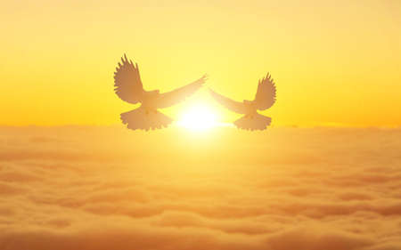 close-up photo of a black silhouette bird flying at dusk against an orange sunset