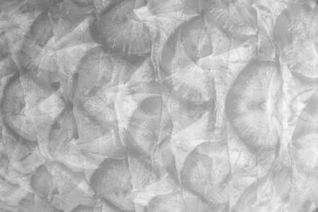 abstract white and silver are light pattern gray with the gradient is the with floor wall metal...