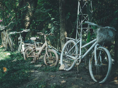 Several old bicycles are parked in the park.の写真素材