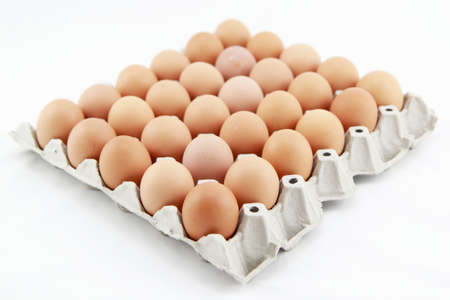 Eggs in a paper tray(egg carton) isolated on a white background