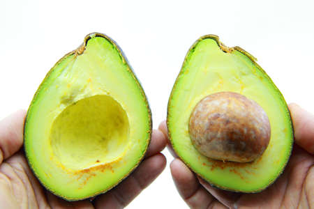 Fresh Avocado Halves On Handsの写真素材