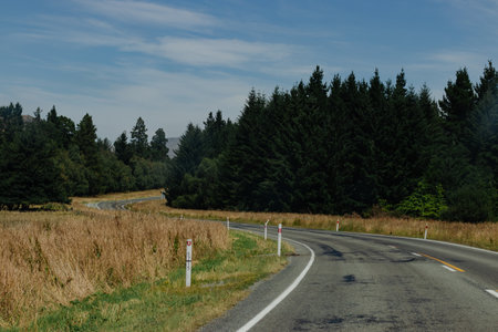 Road through lush green forest New Zealand no peopleの写真素材