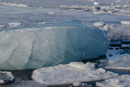 Arctic Ice Field with Melting Icebergs