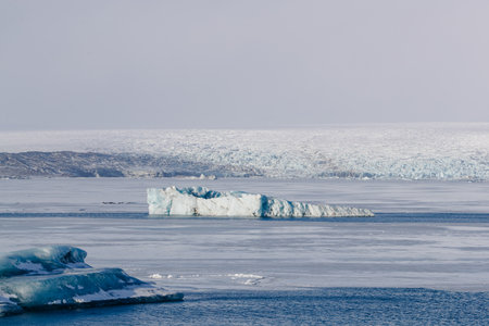 Remote Arctic Ice Fields with Majestic Icebergs