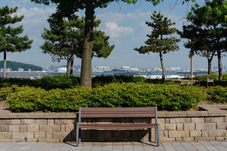 Wooden bench facing a scenic view of the city skylineの写真素材