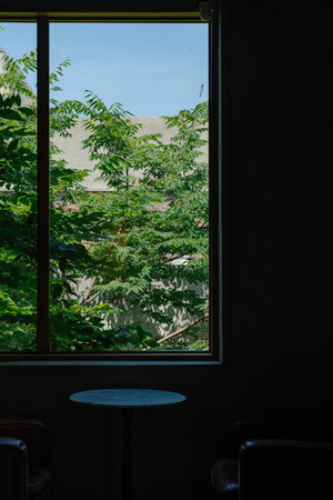 Window View of Lush Greenery from Dark Interiorの写真素材