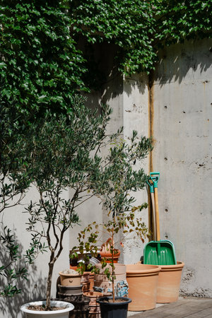 Gardening tools and potted plants in yardの写真素材