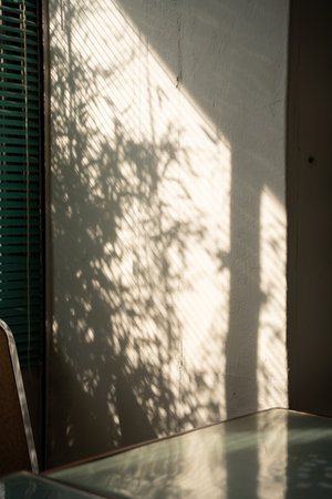 Sunlit Shadow on Wall with Green Blinds and Table