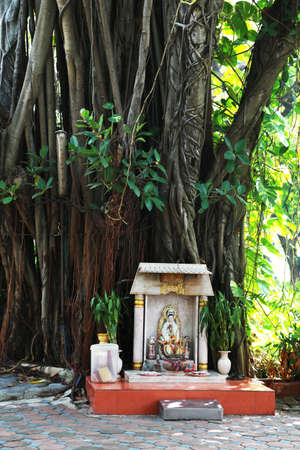Guan-im Bhodisatva Statue joss house in gardenの写真素材