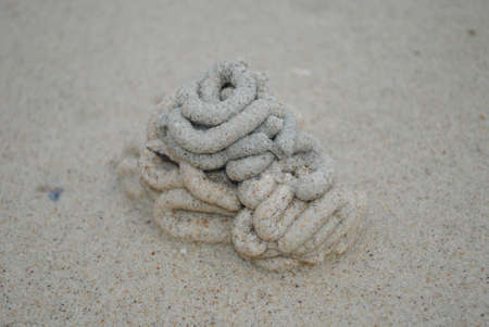Sand from the sea wormの写真素材