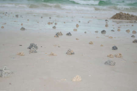 Sand from the sea wormsの写真素材