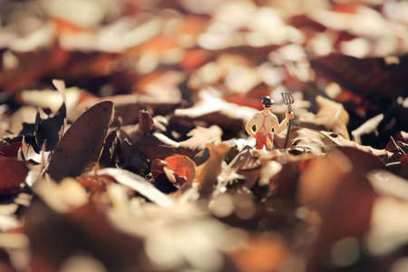 Farmerminiature with a fork standing  field of autumnal leaves in a garden. Shallow depth of field compositionの写真素材