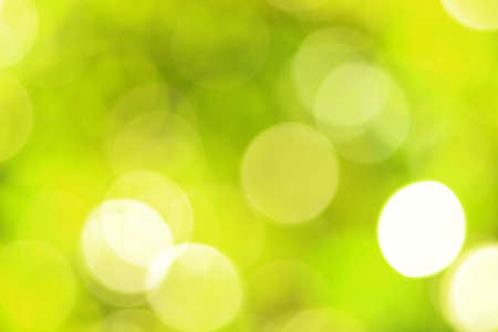 abstract bokeh green background and green blurred background and backdrop blur on naturalの写真素材