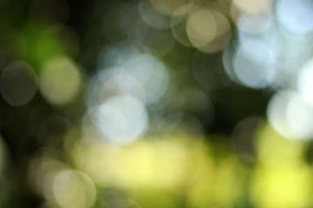 abstract bokeh green background and green blurred background and backdrop blur on naturalの写真素材