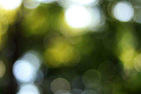 abstract bokeh green background and green blurred background and backdrop blur on naturalの写真素材