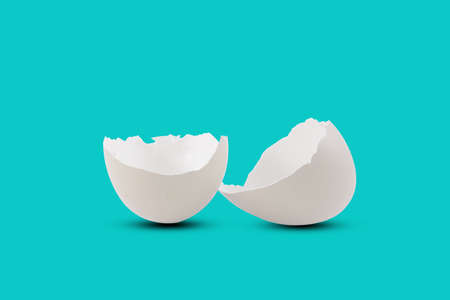 concept egg difference and ideas egg white and black color business model with business choice...