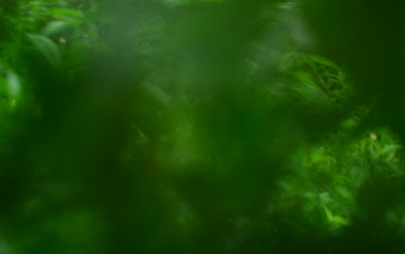blur or bokeh green background lush with light shiny of spring. texture green blur nature with sunny bright day. foliage blur wallpaper and gradient ray. design concept of card website or template artの写真素材