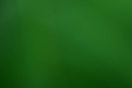 blur or bokeh green background lush with light shiny of spring. texture green blur nature with sunny bright day. foliage blur wallpaper and gradient ray. design concept of card website or template artの写真素材