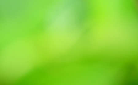 blur or bokeh green background lush with light shiny of spring. texture green blur nature with sunny bright day. foliage blur wallpaper and gradient ray. design concept of card website or template artの写真素材