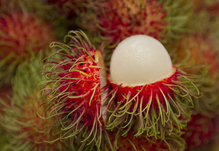 Fresh fruit.の写真素材