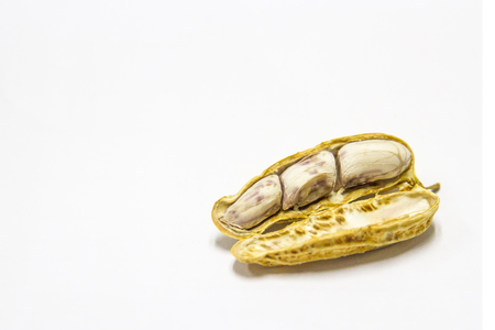 Peanuts boiled and peeled on a white background.の写真素材