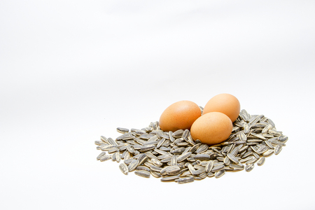 Eggs with sunflower seeds White backgroundの写真素材