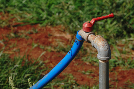 Faucet with blue rubber tube  In the garden                               の写真素材