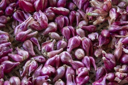 Purple  onions and red onions texture backgroundの写真素材